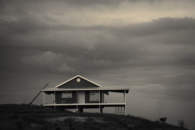 Estetik Yargılar ve Ontolojik Gerçeklik